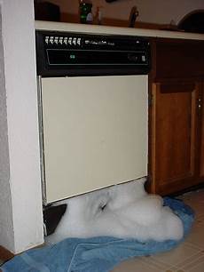 Detergent Wash