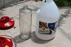 Dish Soap