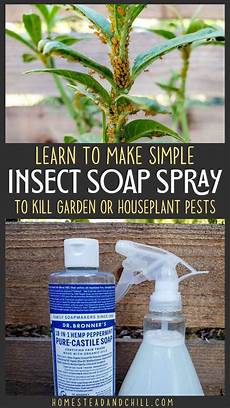 Organic Soap
